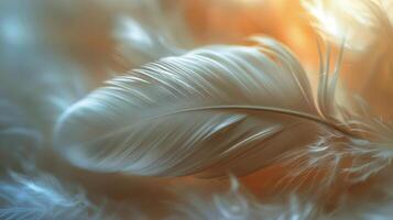 AI generated Close Up of a White Feather on Blurry Background photo