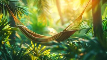 AI Generated Serene tropical hammock at sunset photo