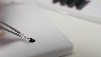 Eyelash Extension Procedure. Close-up of a master at work artificial eyelash extensions material. Hands of the master taking lashes from the set video