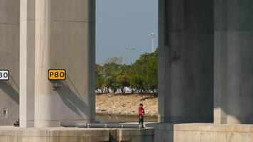 hong kong - noviembre 8, 2019. asiático hombre pescar en un pilar de el Macao puente, hong Kong persona siguiente a un enorme construcción. alto hormigón puente apoyos terminado el agua video