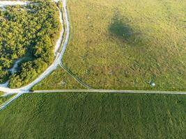 Aerial view on green wheat field in countryside. Field of wheat blowing in the wind on sunset. Young and green Spikelets. Ears of barley crop in nature. Agronomy, industry and food production. photo