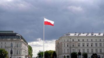 Polonia bandera ondulación en el viento en el azul cielo. polaco blanco rojo bandera en el nubes video