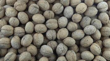 Walnut in shell. Background view from above. Healthy food top view. video