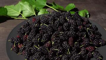 Mulberry in a bowl. Blackberry harvest in summer. Fruit food background. video