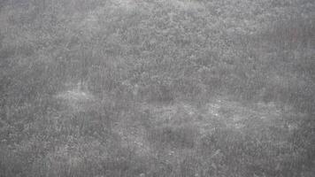 It is snowing. Winter snowy weather. Heavy snowfall over the forest top view. Snow video