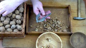 masculino manos limpiar nueces con un nuez galleta. de cerca. nuez en cáscara parte superior vista. video