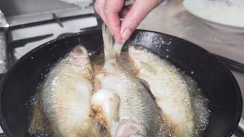 whole vobla fish frying in a cast iron skillet with oil at domestic kitchen video