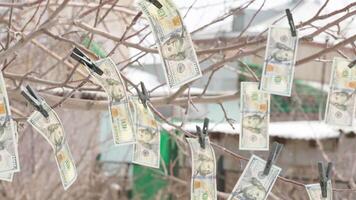 hundert uns Dollar Rechnungen hängend auf Baum mit Wäscheklammern und Weberei auf Wind video