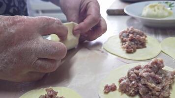 mujer manos haciendo hecho en casa empanadillas a el cocina mesa video