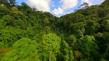 dinâmico fpv voar sobre rio e cachoeiras dentro a exuberante selva, Tailândia video