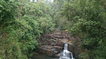 tropical cascata dentro a selva, Tailândia video