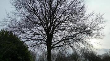 hoog hoek visie van noorden luton stad gedurende bewolkt en regenachtig dag. luton, Engeland uk. maart 19e, 2024 video