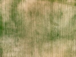 Aerial view on Green wheat field in countryside. Field of wheat blowing in the wind on sunset. Young and green Spikelets. Ears of barley crop in nature. Agronomy, industry and food production. photo