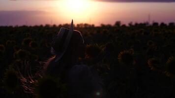 Jeune femme avec longue cheveux et paille chapeau dans une magnifique champ de tournesols à le coucher du soleil temps. tournesol balancement dans le vent. agriculture champ avec épanouissement tournesols et lumière du soleil. lent mouvement video