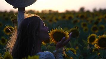 giovane donna con lungo capelli e cannuccia cappello nel un' bellissimo campo di girasoli a tramonto volta. girasole ondeggiante nel il vento. agricoltura campo con fioritura girasoli e luce del sole. lento movimento video