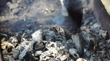 Feuer mit Kohlen und Feuer auf Natur Picknick Hintergrund. brennt aus ein Lagerfeuer zum Lebensmittel. schwelend Kohlen. Asche im das Grill. video