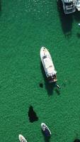 aereo verticale Visualizza di paesaggio marino con cristallo chiaro azzurro mare e roccioso sponde. yachts nel un' bellissimo laguna su fondale di rocce. il concetto di un ideale destinazione per estate viaggio e vacanza. video