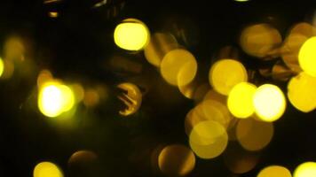 abstrato festivo amarelo alaranjado luzes com bokeh, espumante circular estrelas movimento. feriado conceito pano de fundo. feriado conceito pano de fundo com cintilante brilhante formas. piscando Natal árvore luzes video