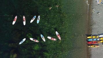 Sup yoga, aerial view of group well looking middle aged sporty women with fitness instructor doing stretching and pilates outdoors on sup board. Female fitness yoga. Healthy lifestyle and harmony. video