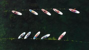 vrouw sup yoga. gelukkig sportief Dames beoefenen yoga pilates Aan peddelen sup surfplank. vrouw uitrekken aan het doen training Aan zee water. modern individu vrouw hipster buitenshuis zomer sport werkzaamheid. antenne video