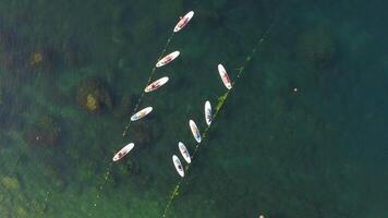 Frau sup Yoga. glücklich sportlich Frauen üben Yoga Pilates auf Paddel sup Surfbrett. weiblich Dehnen tun trainieren auf Meer Wasser. modern Individuell weiblich Hipster draussen Sommer- Sport Aktivität. Antenne video