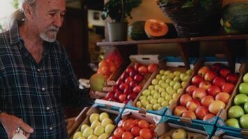 contento mayor hombre comprando Fresco frutas a el mercado - compras comida concepto video