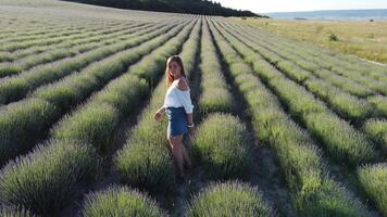 antenn lavendel- fält. Lycklig kvinna springa i ändlös rader av blomning lavendel- fält på sommar solnedgång tid. lavendel- olja produktion. fält med lavendel- rader. aromterapi. koppla av. video