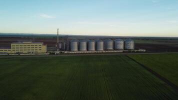 spannmål hiss. metall spannmål hiss i jordbruks zon. lantbruk lagring för skörda. spannmål silos på grön natur bakgrund. exteriör av jordbruks fabrik. ingen. video