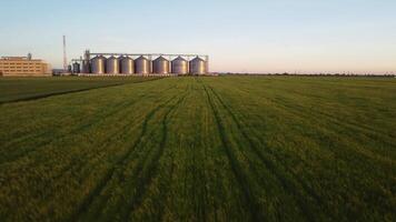 Korn Aufzug. Metall Korn Aufzug im landwirtschaftlich Zone. Landwirtschaft Lager zum Ernte. Korn Silos auf Grün Natur Hintergrund. Außen von landwirtschaftlich Fabrik. niemand. video