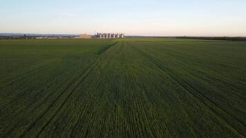 grano ascensore. metallo grano ascensore nel agricolo zona. agricoltura Conservazione per raccolto. grano silos su verde natura sfondo. esterno di agricolo fabbrica. nessuno. video