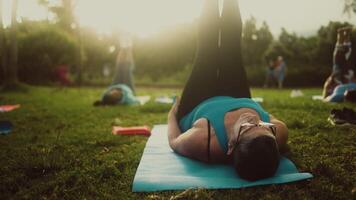 een groep van ouderen mensen aan het doen oefening in de park Aan een yoga mat in de gras video