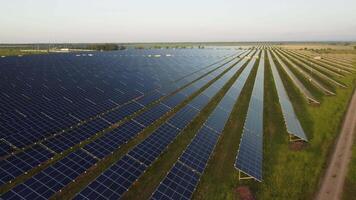 aereo superiore Visualizza di un' solare pannelli energia pianta. fotovoltaico solare pannelli a Alba e tramonto nel campagna a partire dal sopra. moderno tecnologia, clima cura, terra Salvataggio, rinnovabile energia concetto. video