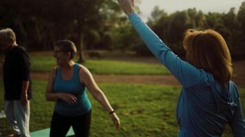 a group of people doing yoga in the park video