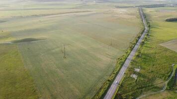 antenn se av en väg skärande genom en fält av grön vete i de landsbygden. fält av vete blåser i de vind tycka om grön hav. agronomi, industri och mat produktion. video