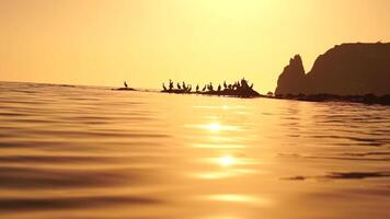 mar pássaros silhueta às pôr do sol. rebanho do corvos-marinhos, falacrocorax carbo sentar em a pedras antes pôr do sol. rebanho do aves marinhas, corvos-marinhos, gaivotas, fechar acima sentado em uma penhasco topo às pôr do sol, lento movimento video