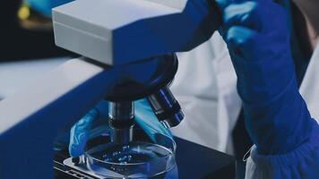 Young scientists conducting research investigations in a medical laboratory, a researcher in the foreground is using a microscope video