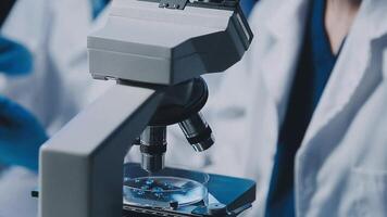 Young scientists conducting research investigations in a medical laboratory, a researcher in the foreground is using a microscope video