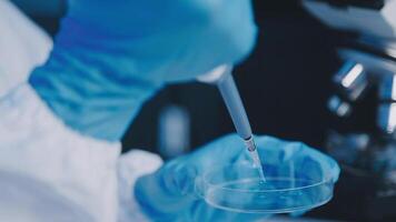 Young scientists conducting research investigations in a medical laboratory, a researcher in the foreground is using a microscope video