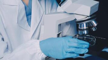 Young scientists conducting research investigations in a medical laboratory, a researcher in the foreground is using a microscope video