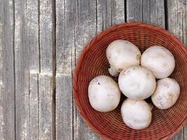 Mushrooms on wooden background video