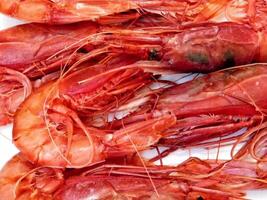 Shrimps on wooden background video