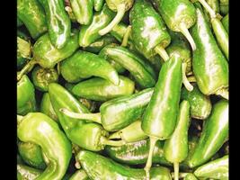 Peppers on wooden background video