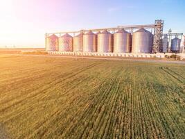 Grain silos on a green field background with warm sunset light. Grain elevator. Metal grain elevator in agricultural zone. Agriculture storage for harvest. Aerial view of agricultural factory. Nobody. photo