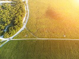 Aerial view on green wheat field in countryside. Field of wheat blowing in the wind on sunset. Young and green Spikelets. Ears of barley crop in nature. Agronomy, industry and food production. photo