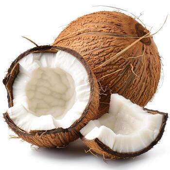 ai generado dos cocos sentado juntos foto