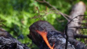 abstrato carvalho madeira fogueira dentro chamas fumaça e cinzas video