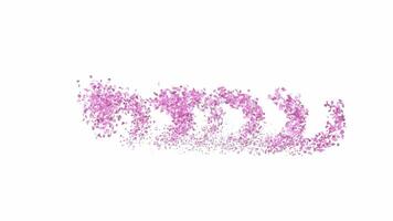 Animated Sakura Petals text letters forming the word nature with alpha channel video