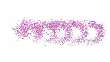 Animated Sakura Petals text letters forming the word bloom with alpha channel video