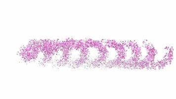 Animated Sakura Petals text letters forming the word sunshine with alpha channel video