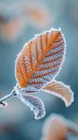 AI generated A close up of a frosted leaf in winter photo